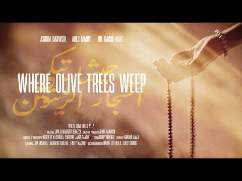 Where Olive Trees Weep fragman