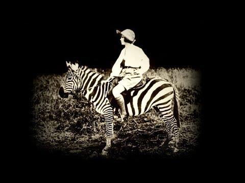 The Ark of Lights and Shadows fragman