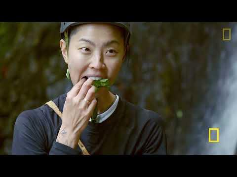 Restaurants at the End of the World fragman