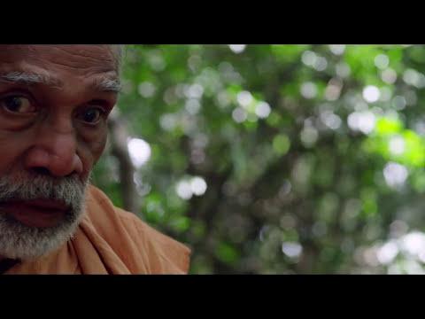 Leopard Do Not Bite fragman