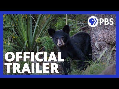 Big Bend: The Wild Frontier of Texas fragman