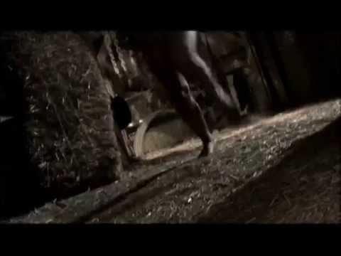 Ed Gein: The Butcher of Plainfield fragman