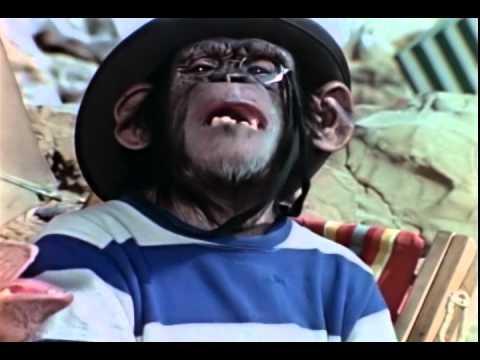 Lancelot Link, Secret Chimp fragman