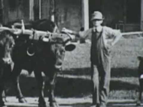 Deep Water: Building the Catskill Water System fragman