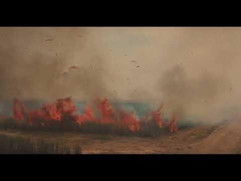 The Wind that Shakes the Sugar Canes fragman
