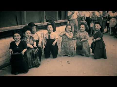 Warwick Davis and the Seven Dwarfs of Auschwitz fragman