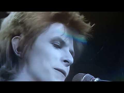 The Unexpected Return of Mr. Meek fragman