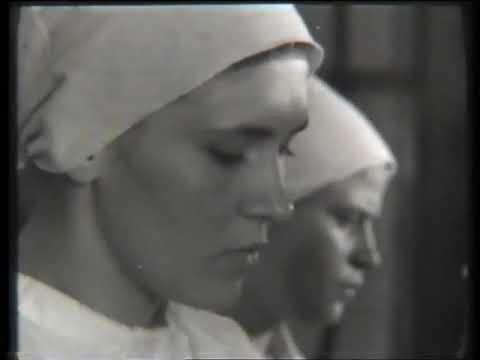 Turya - the Land of Polissya fragman