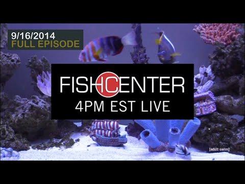 FishCenter Live fragman