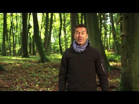 The Hike Through the Ancient Beech Forests - UNESCO World Heritage since 2011 fragman