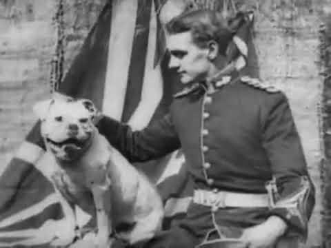 How a British Bulldog Saved the Union Jack fragman