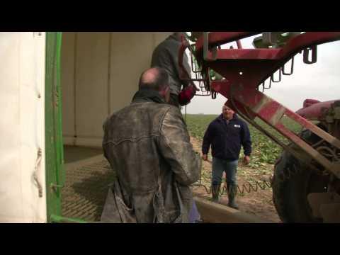 Imagine Waking Up Tomorrow and All Music Has Disappeared fragman