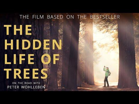 The Hidden Life of Trees fragman