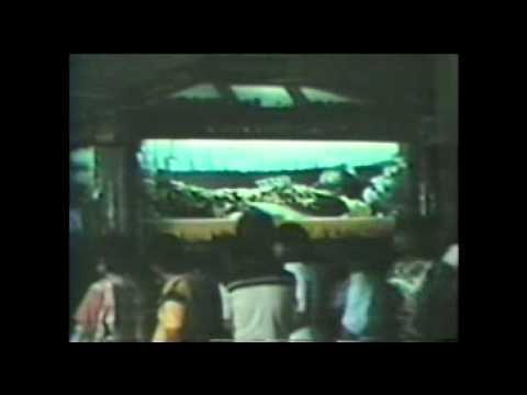 Lizard, or How to Perform in Front of the Reptile fragman