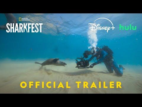 Sharks Up Close with Bertie Gregory fragman