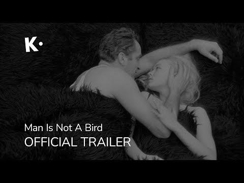 Man Is Not a Bird fragman