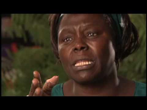 Taking Root: The Vision of Wangari Maathai fragman