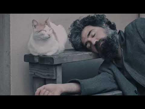 The Last 5 Days of My Life fragman