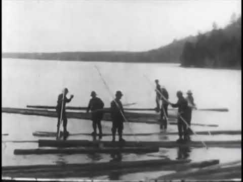 Logging in Maine fragman