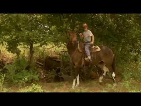 Tommy and the Cool Mule fragman