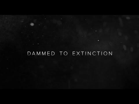 Dammed to Extinction fragman