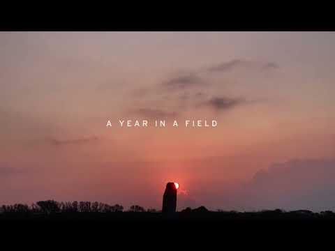 A Year in a Field fragman