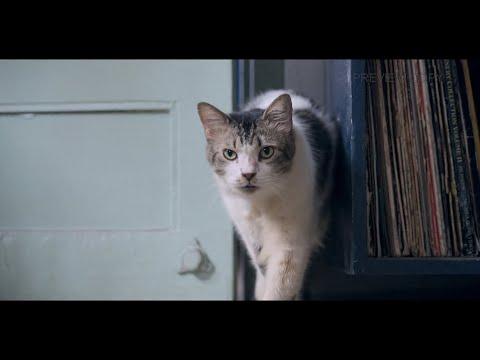 Max, Min and Meowzaki fragman