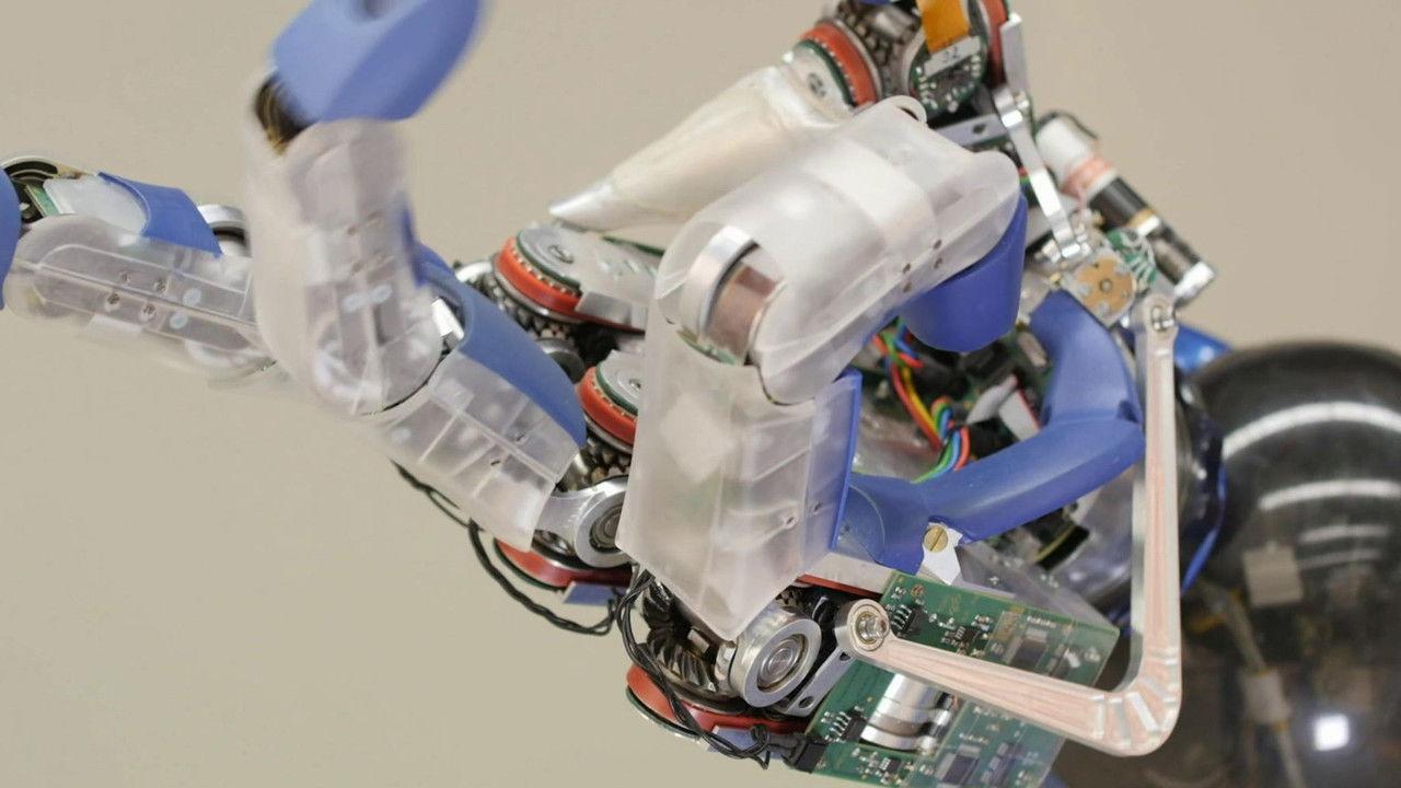 The Leaks of Venice backdrop