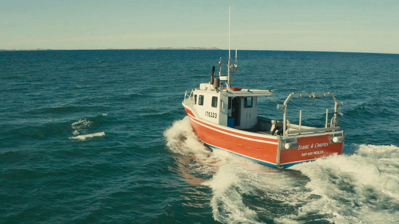 La course folle backdrop