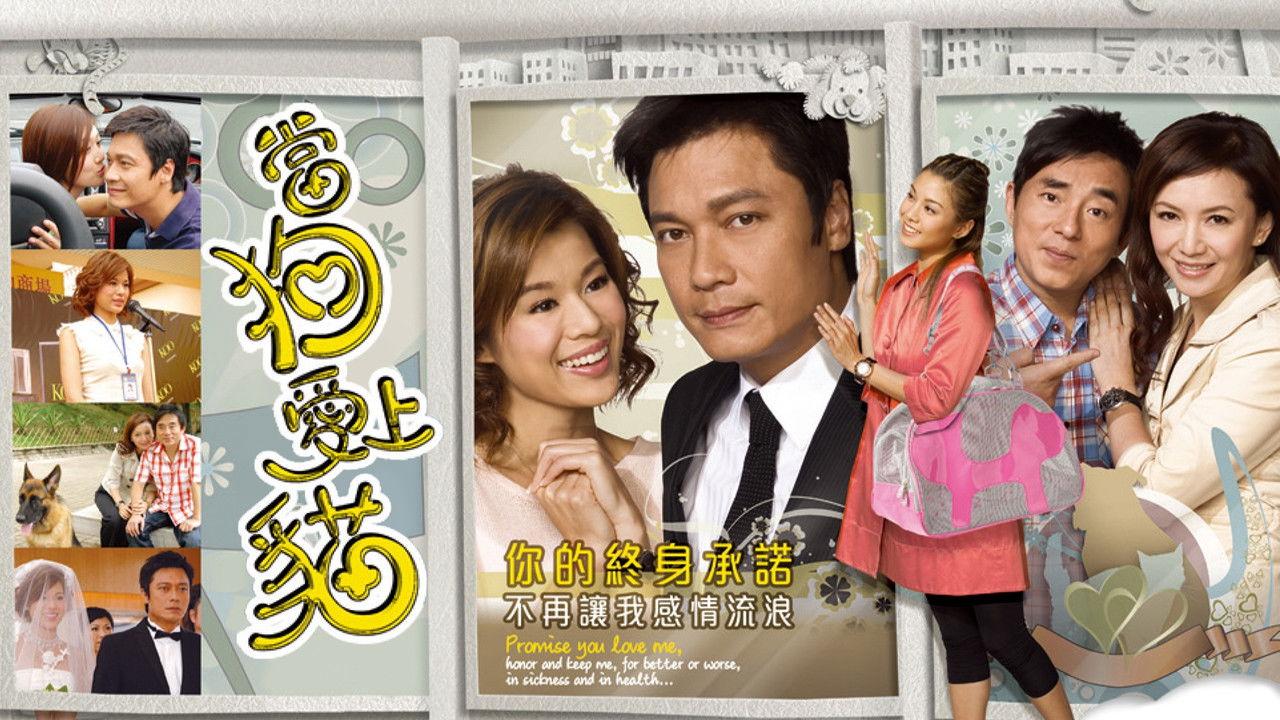 When a Dog Loves a Cat backdrop