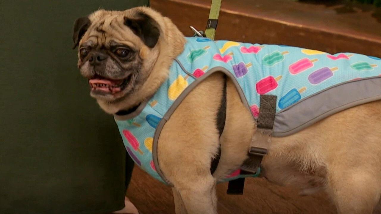 Monday, July 21, 2025