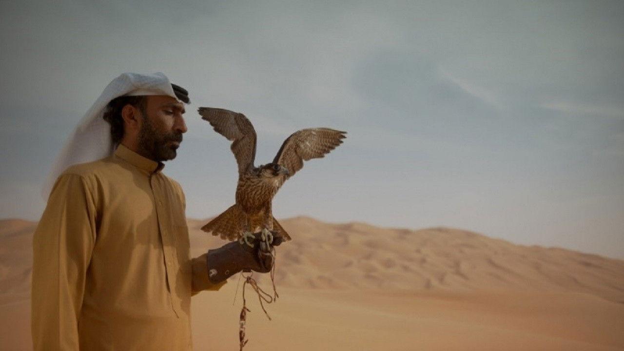 History of The Emirates backdrop