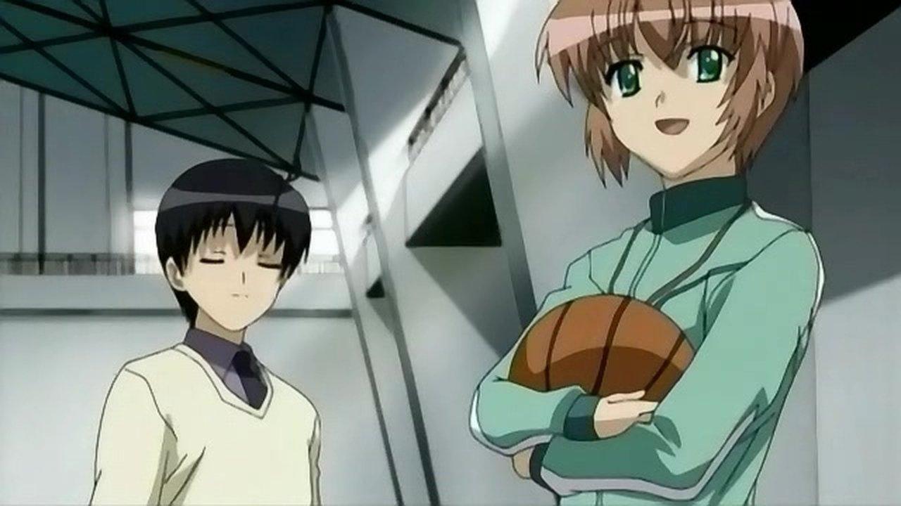 Mandarin Orange Meeting