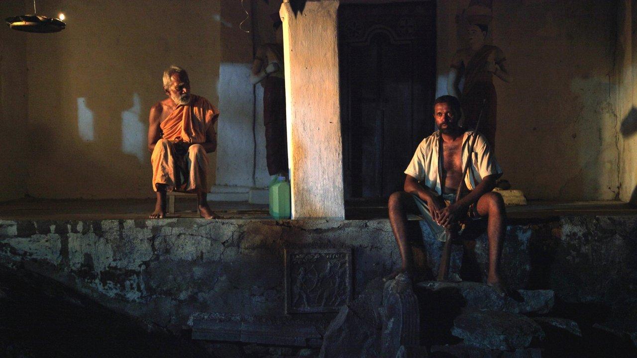 Leopard Do Not Bite backdrop