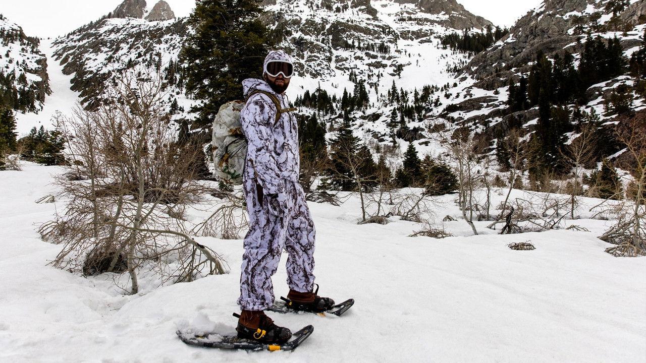 Ivory Billed Woodpecker of the Bayou