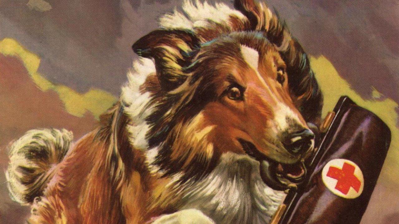 MGM's Lassie Collection backdrop