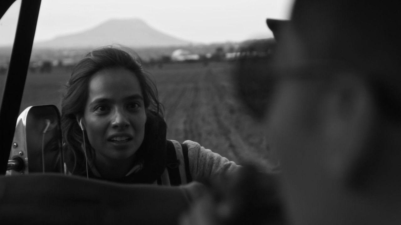 Particulars in the Abbys backdrop