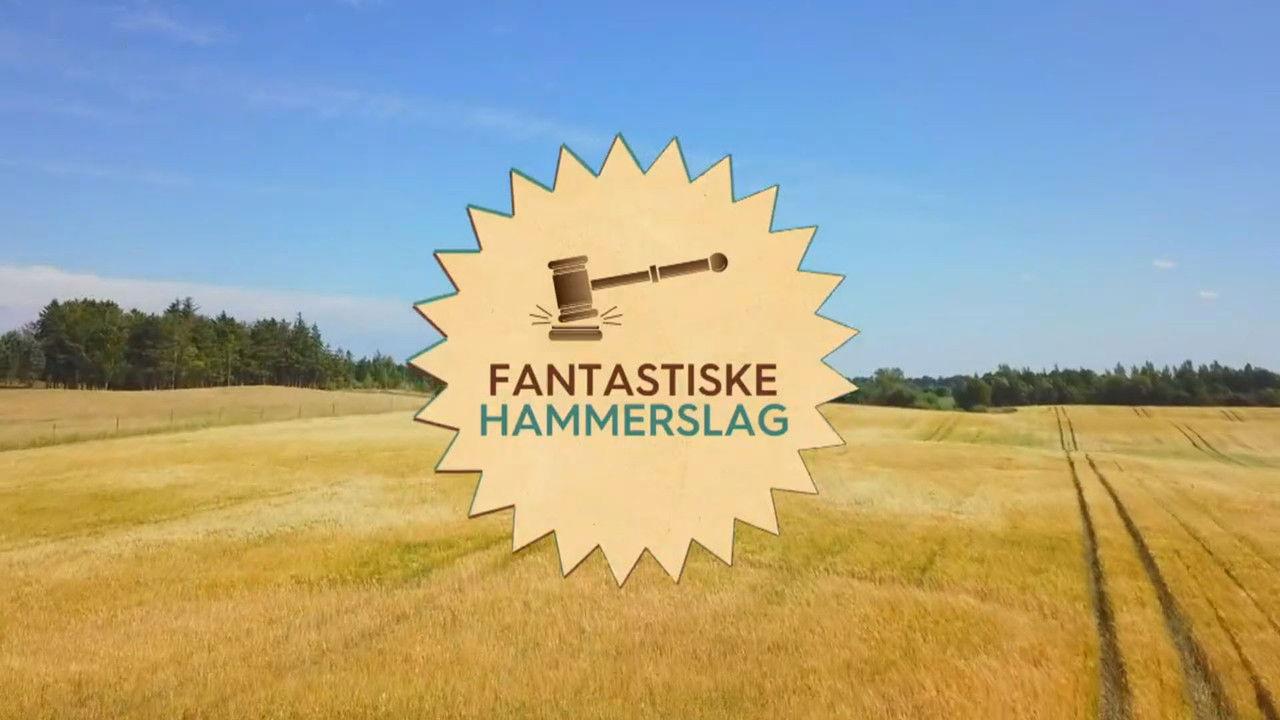 Fantastiske hammerslag backdrop