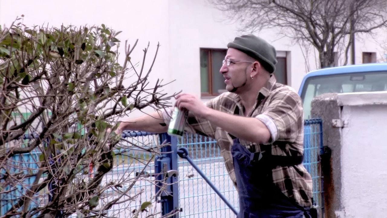 Horvathslos backdrop