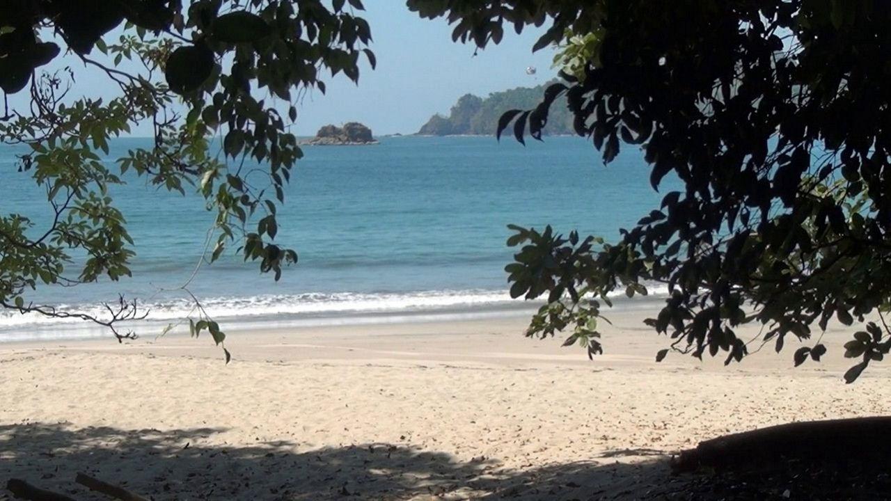 The Jungle 3D: Magic of Another World backdrop