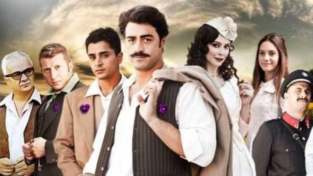 Mor Menekşeler backdrop