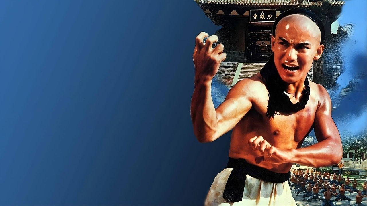 The Young Hero of Shaolin Collection backdrop