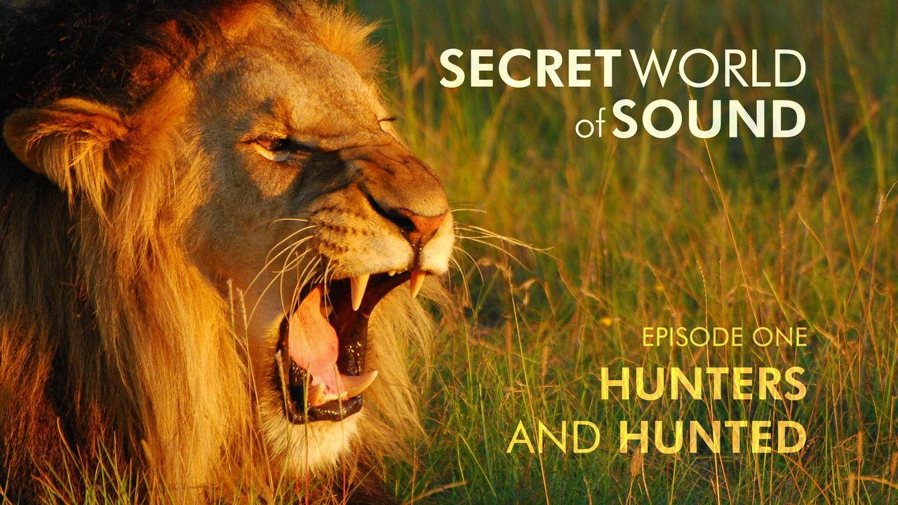 Secret World of Sound: Hunters and Hunted