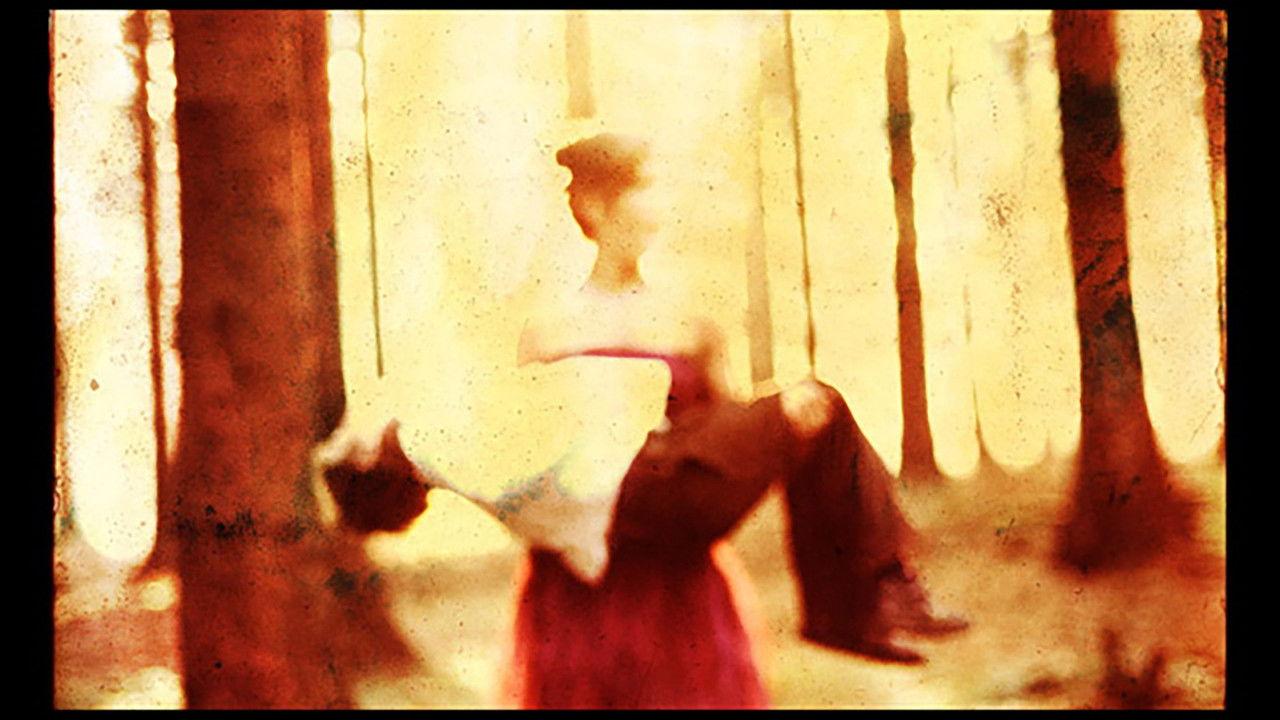 Porcupine Tree: Never Stop the Car on a Drive in the Dark backdrop