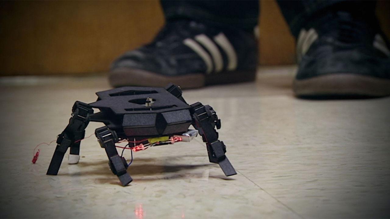 Rise of the Machines