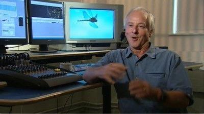 Interview with Mike Salisbury