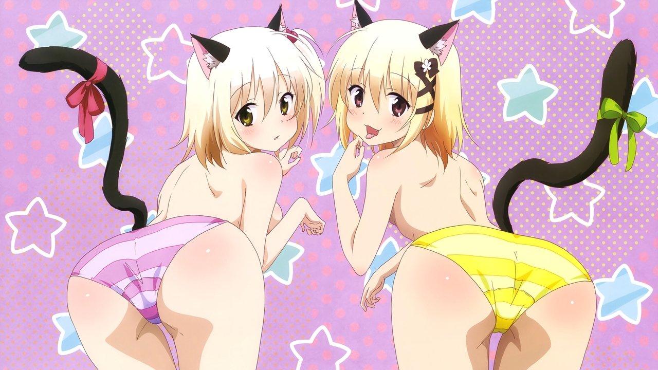 Alice or Alice backdrop