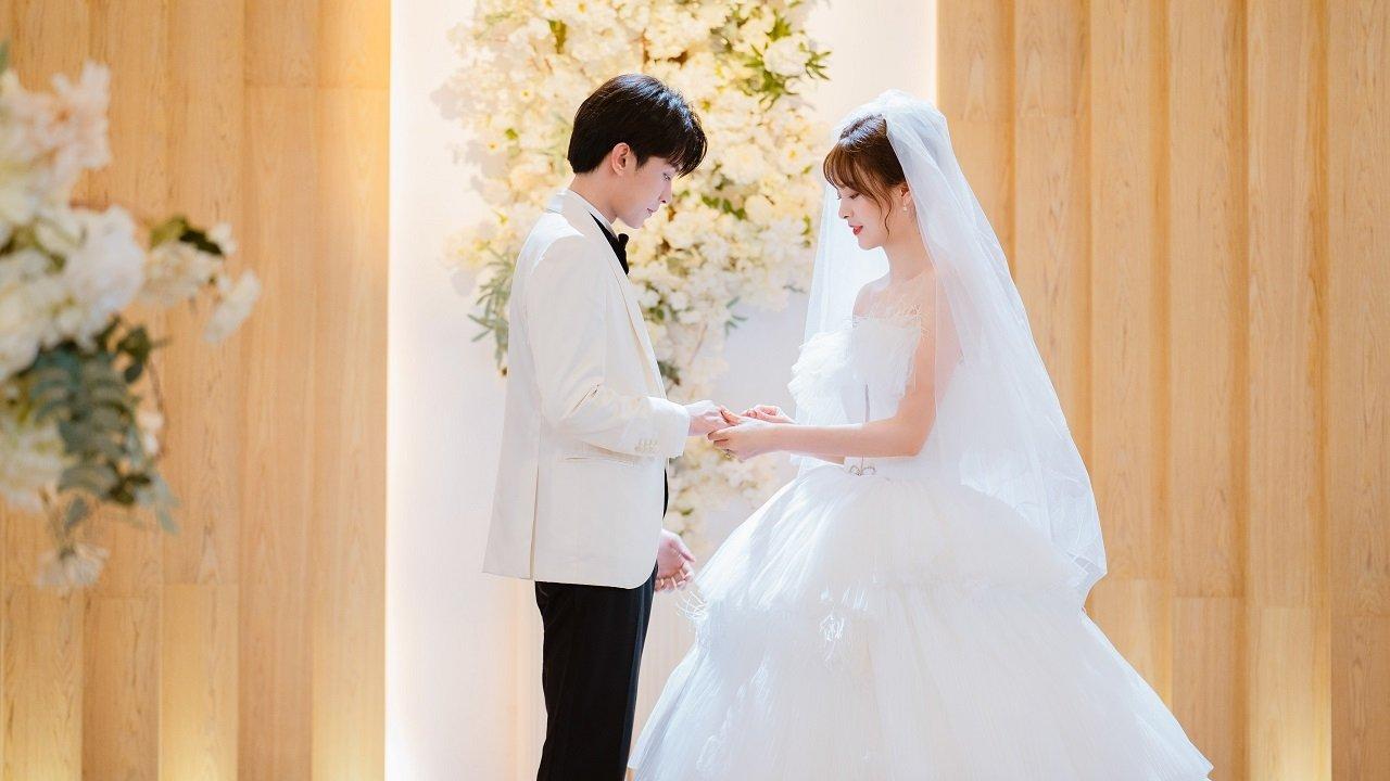 Better a Lie Than a Truth backdrop