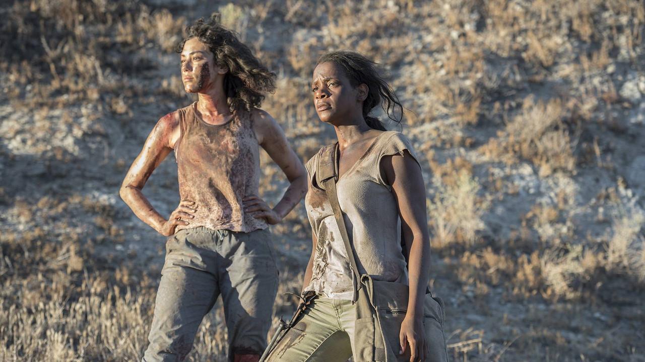Fear the Walking Dead: Passage backdrop