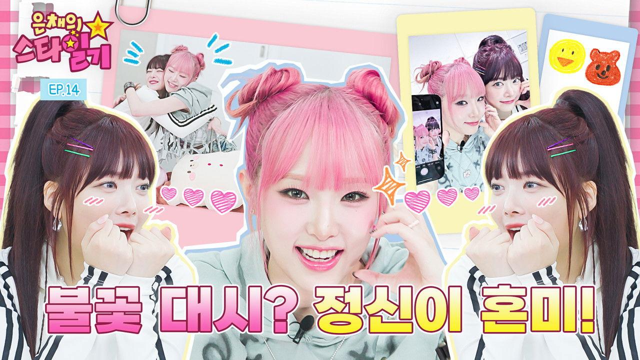 The day Quokka and Ducks got close